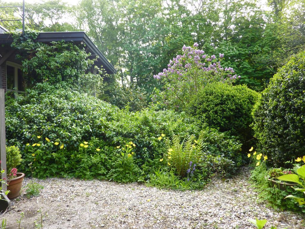 Hotel-pension Zoom-oord Hotel