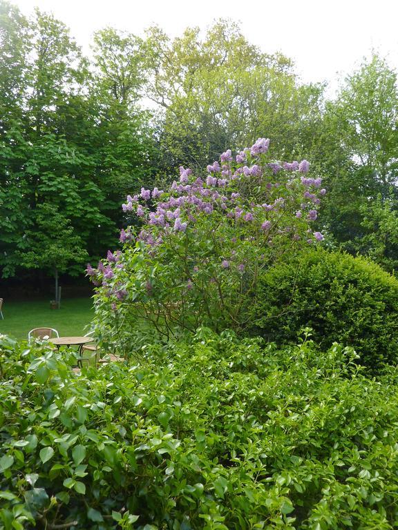 Hotel Hotel-pension Zoom-oord 3*
